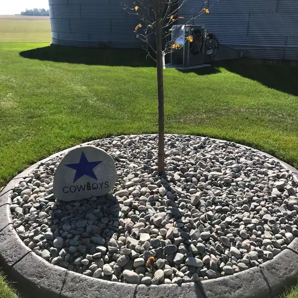 Round concrete curb tree ring filled with river rock around a young tree