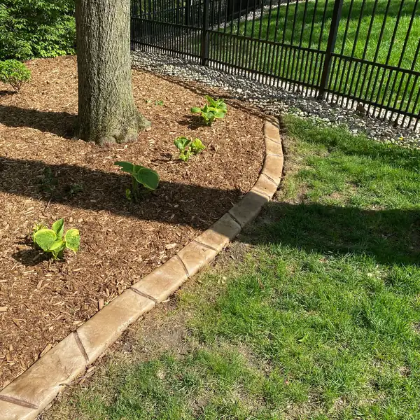 Concrete curb edging a mulch bed with new plants near a fence