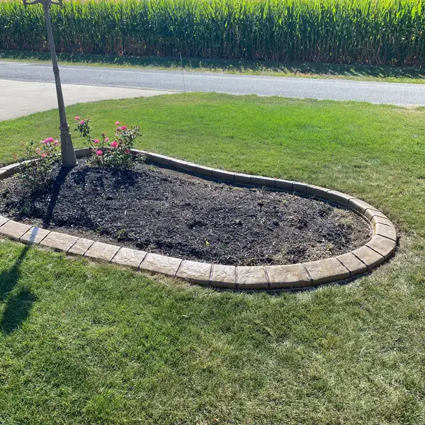 Oval concrete curb tree ring with mulch in a front yard