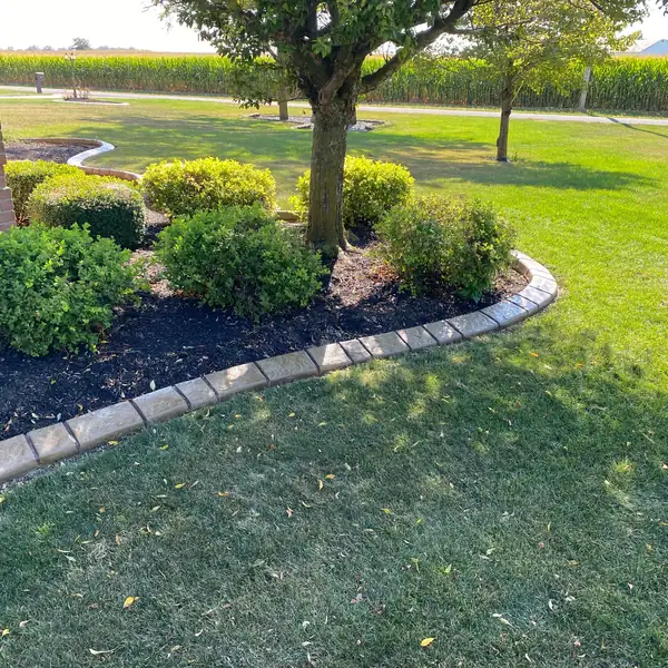 Concrete curb along a mulch bed with shrubs in front of a home